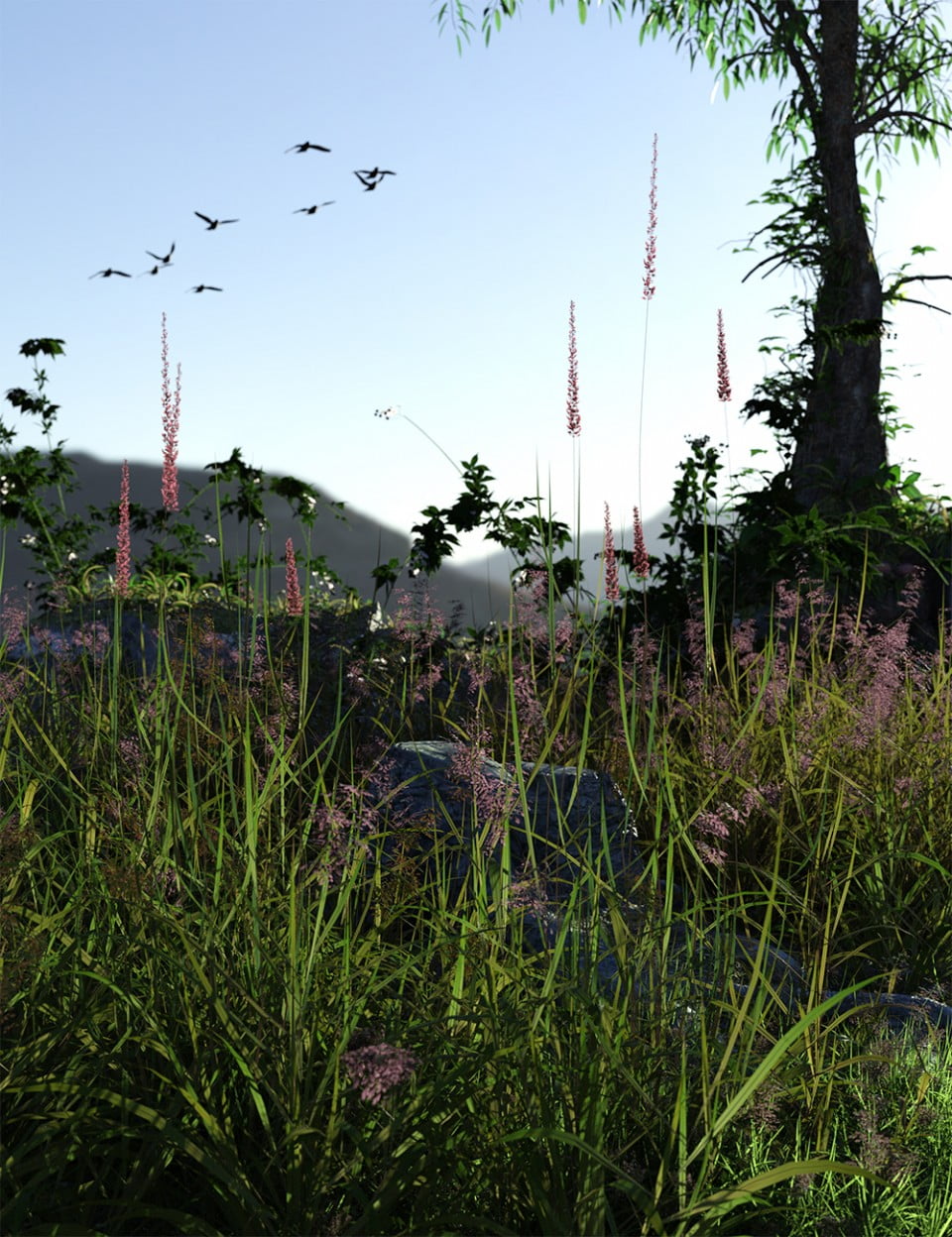 Long Grass - Essential Grassland Flowers and Plants