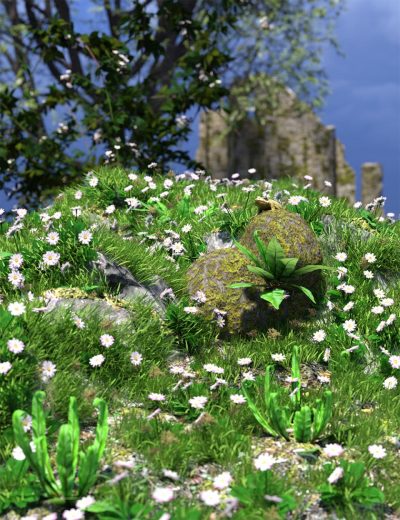 the-imperfect-lawn-essential-grassland-flowers-and-plants-00-main-daz3d-1