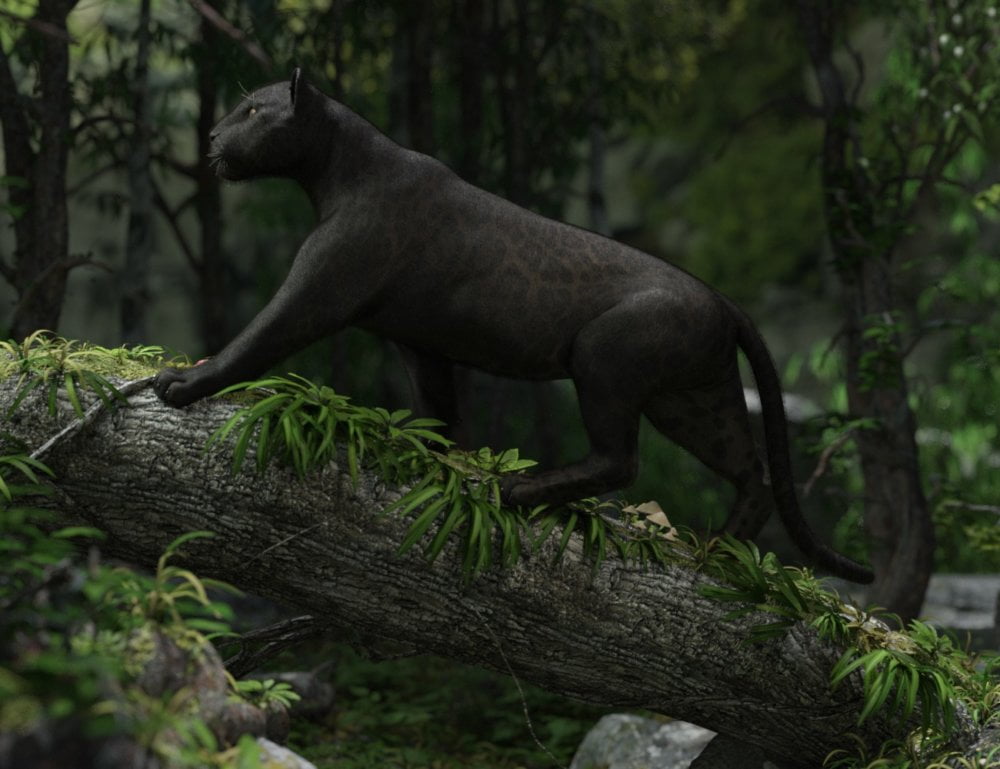 Gao The Panther for DAZ BIG CAT 2