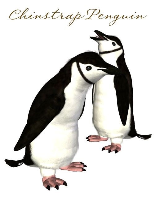 SBRM Penguins
