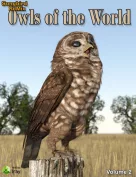 SBRM Owls of the World Volume 2