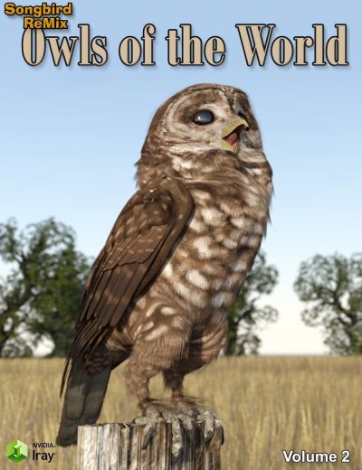 10825-songbird-remix-owls-of-the-world-volume-2-main_2-2