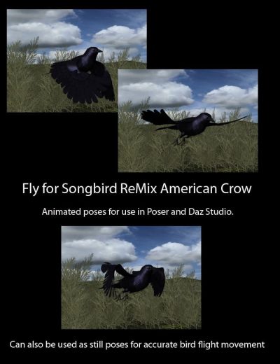 11498-fly-for-songbird-remix-american-crow-main-4