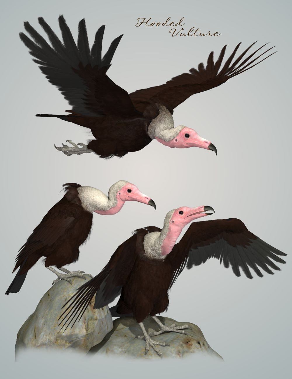 Songbird ReMix: Vultures 2