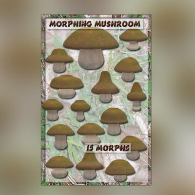 Morphing-Mushroom-1-2