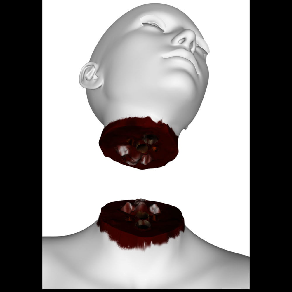 Chopped Head for Genesis 3 Female