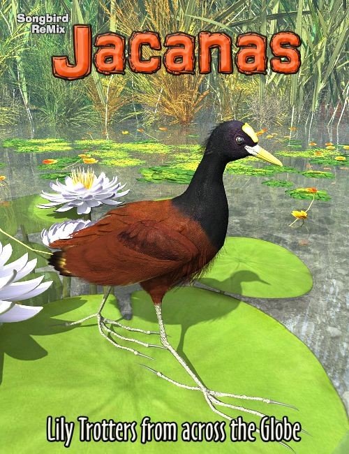 Songbird ReMix: Jacanas
