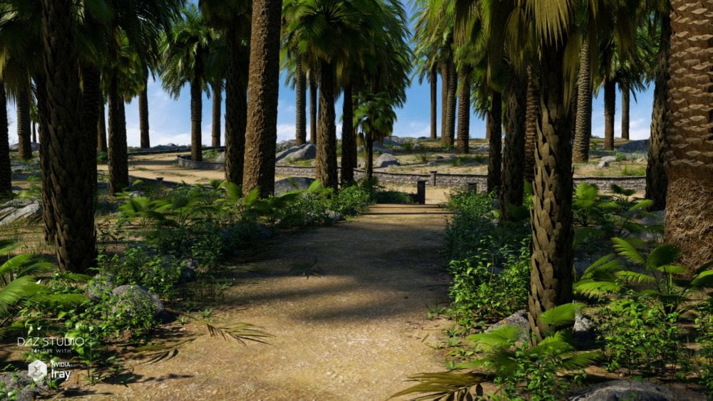 Palm Road