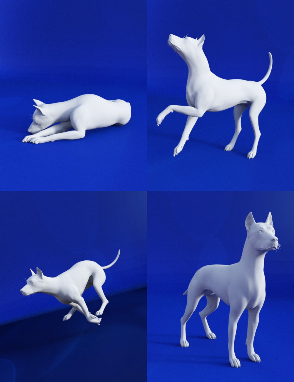 Best Dog Poses for Daz Dog 8