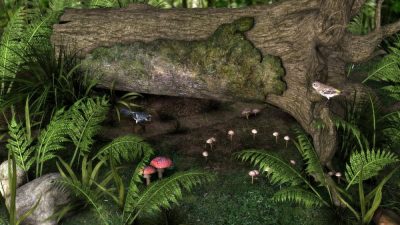 10355-greens-for-fallen-tree-main_1-2