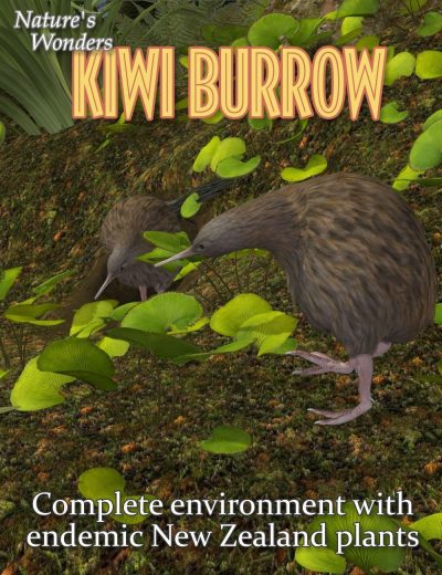 11080-nature-s-wonders-kiwi-burrow-main-2