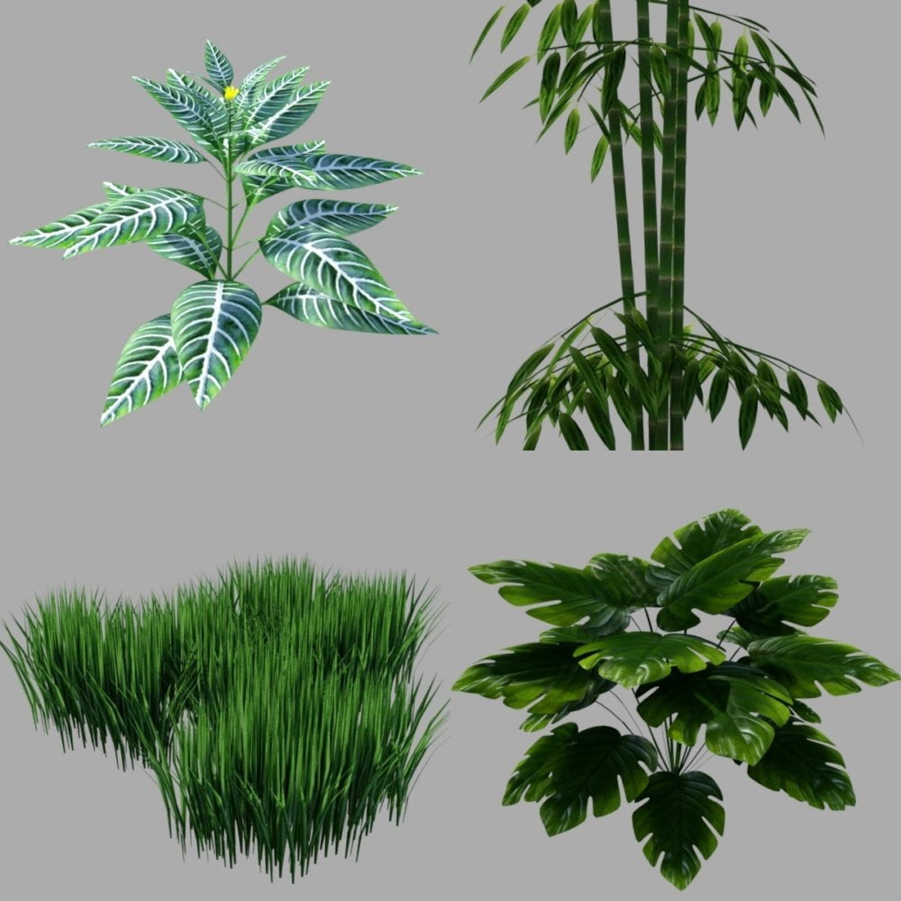 Iray Plants and Rocks Pack