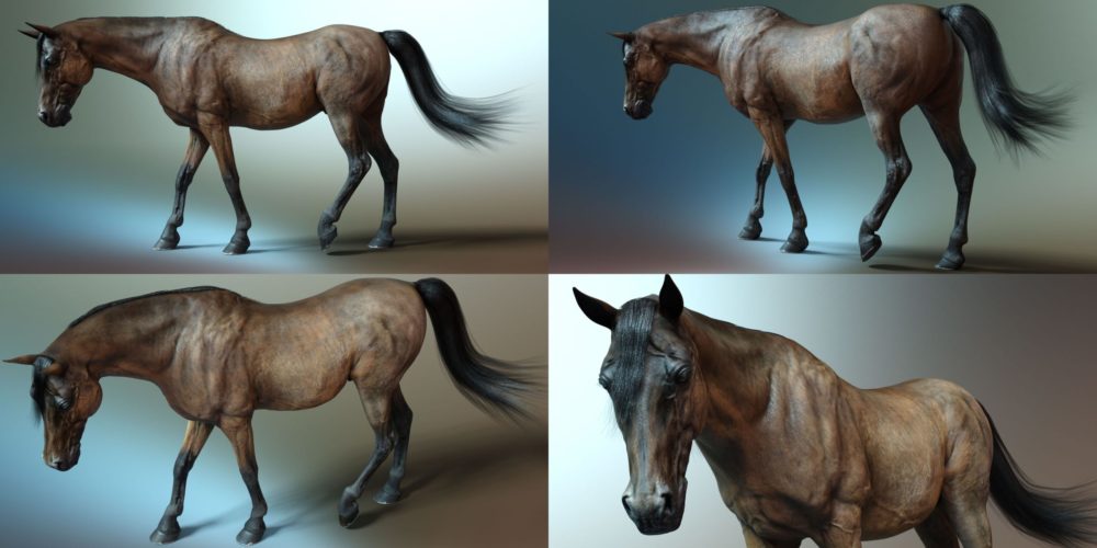 HD Dark Knight for DAZ Horse 2
