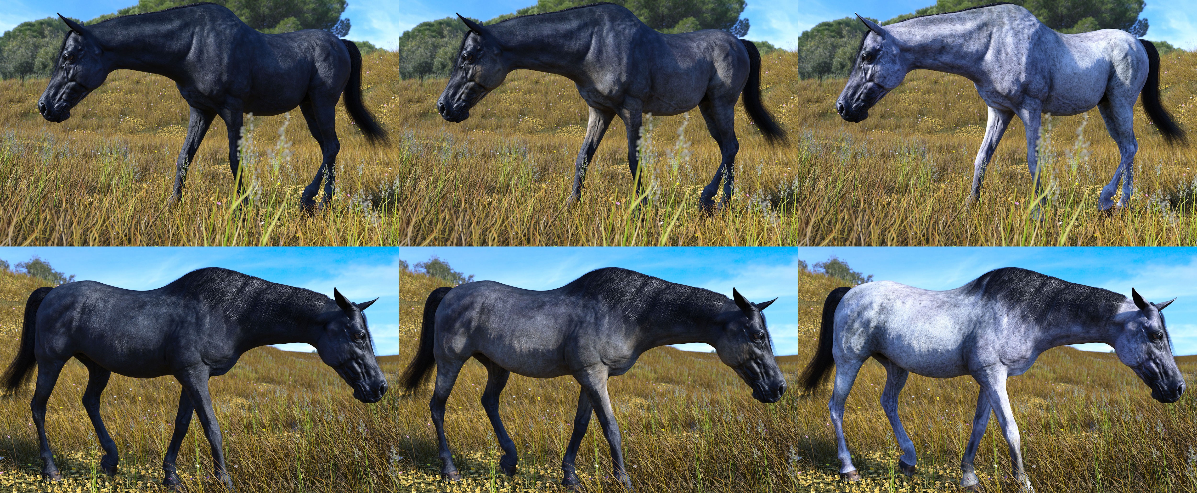 HD Dark Knight Horse Texture Expansion