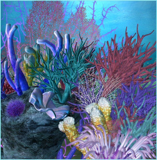 Ocean Paradise Graphics