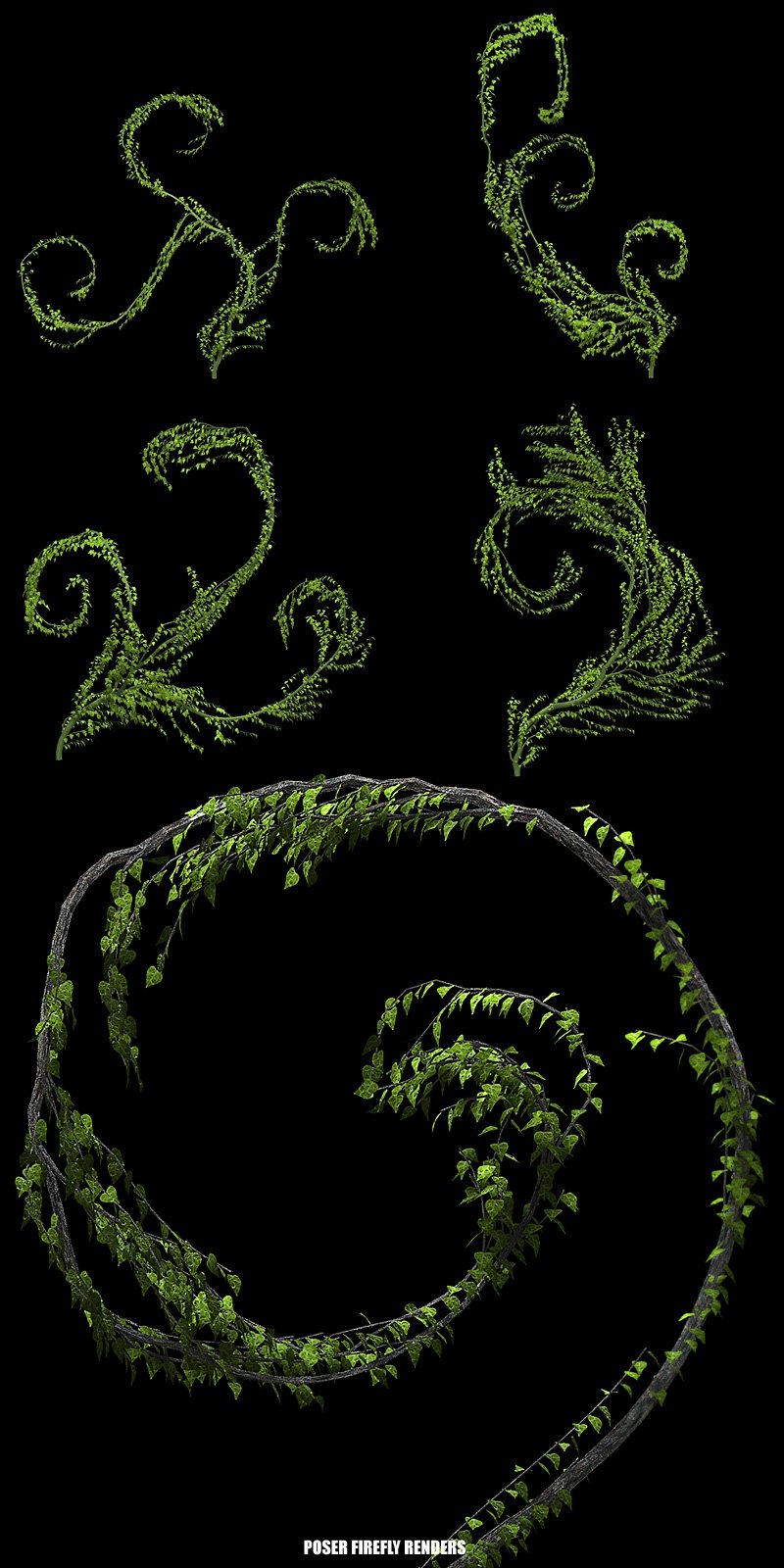 Whimsical Vegetation