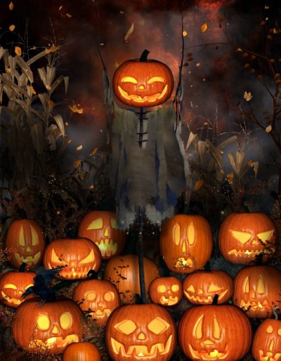 pumpkinpatchgraphics1-2