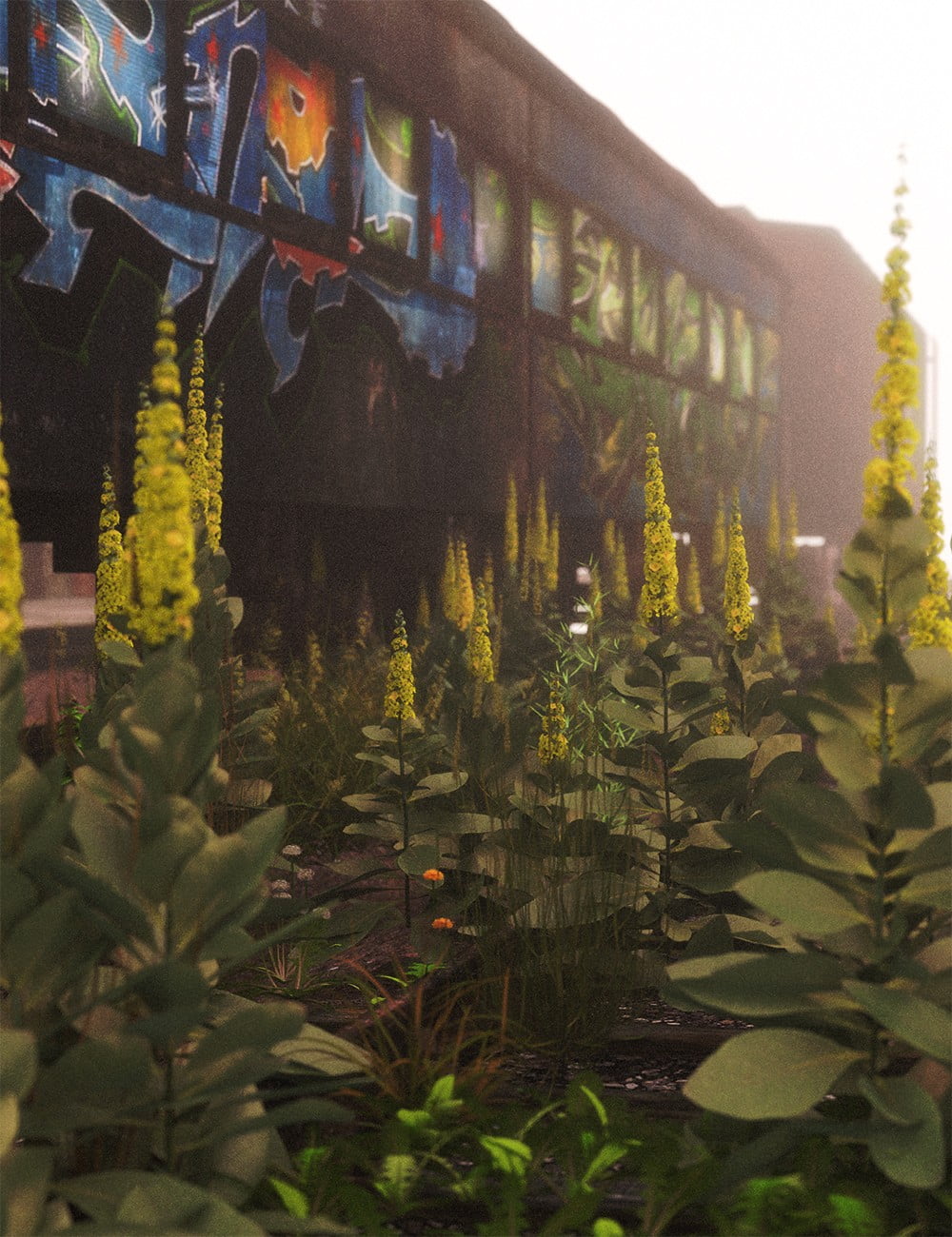 Roadside Flowering Plants for Daz Studio and Iray