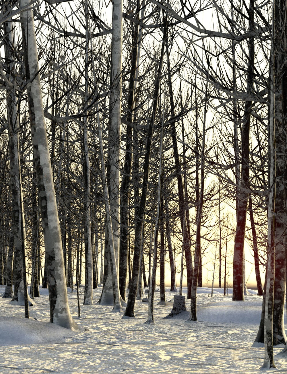 Winter Pine Forest Prop Set