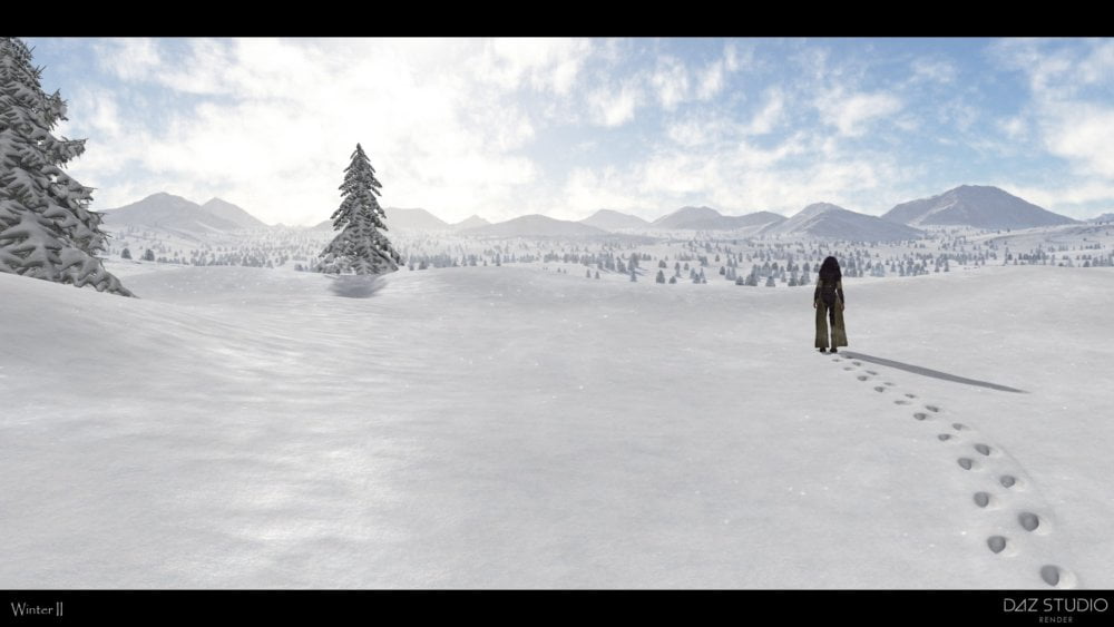 Easy Environments: Winter II