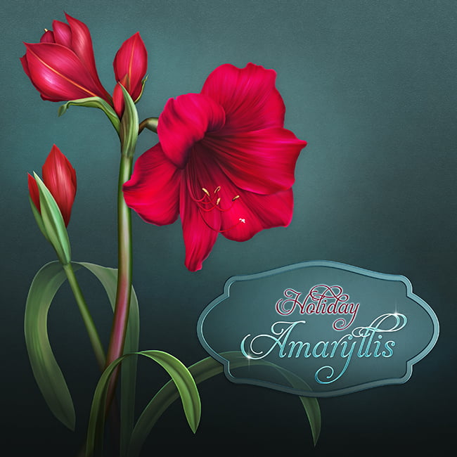 Jaguarwoman’s “Holiday Amaryllis”