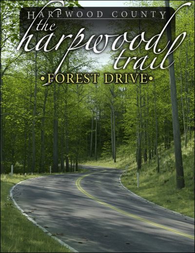 the-harpwood-trail-forest-drive-00-main-daz3d-4