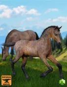 DA Foal and Poses for Daz Horse 2