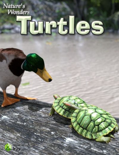 11946-nature-s-wonders-turtles-main-2