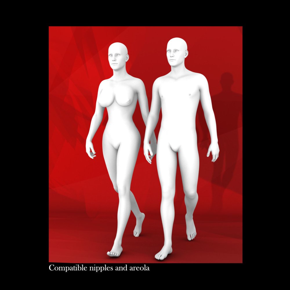 Female Body Morphs for Genesis 8 Male