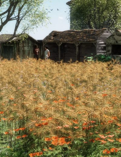 wild-flower-plants-vol-4-wheatfields-00-main-daz3d-2