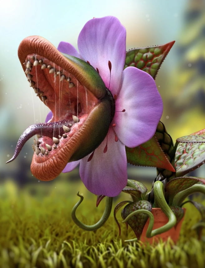 Carnivorous Plant HD