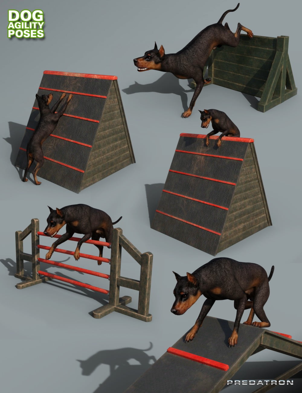 Dog Agility Course Poses