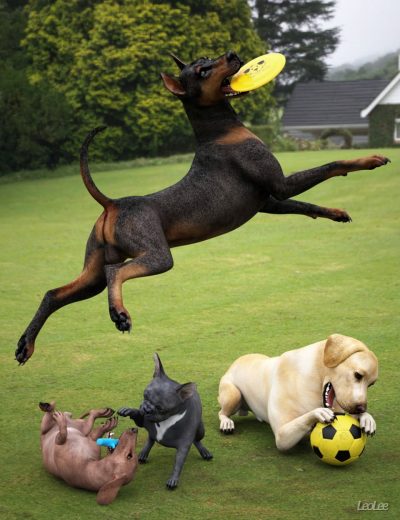 dogs-at-play-props-and-poses-00-main-daz3d-3