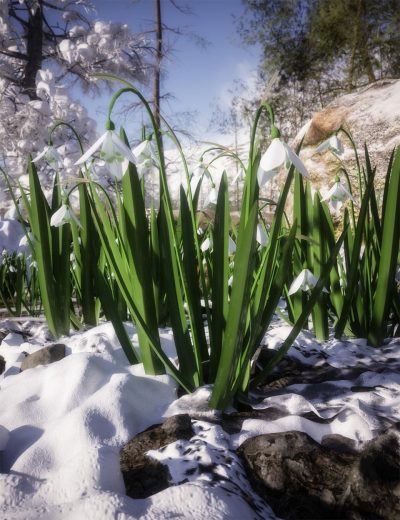 wild-flowers-vol-6-spring-plants-00-main-daz3d-2