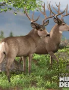 HiveWire Mule Deer Buck