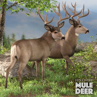 Full136455_53e642e272ea6cdf2e35a91225657b47-2