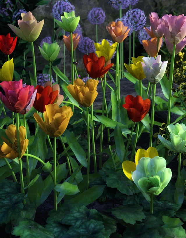 Garden Flowers Vol 2. Tulip Plants