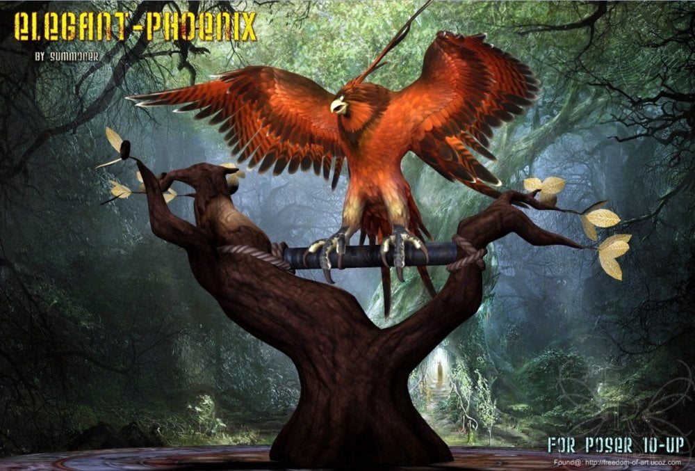 Elegant Phoenix *Exclusive*