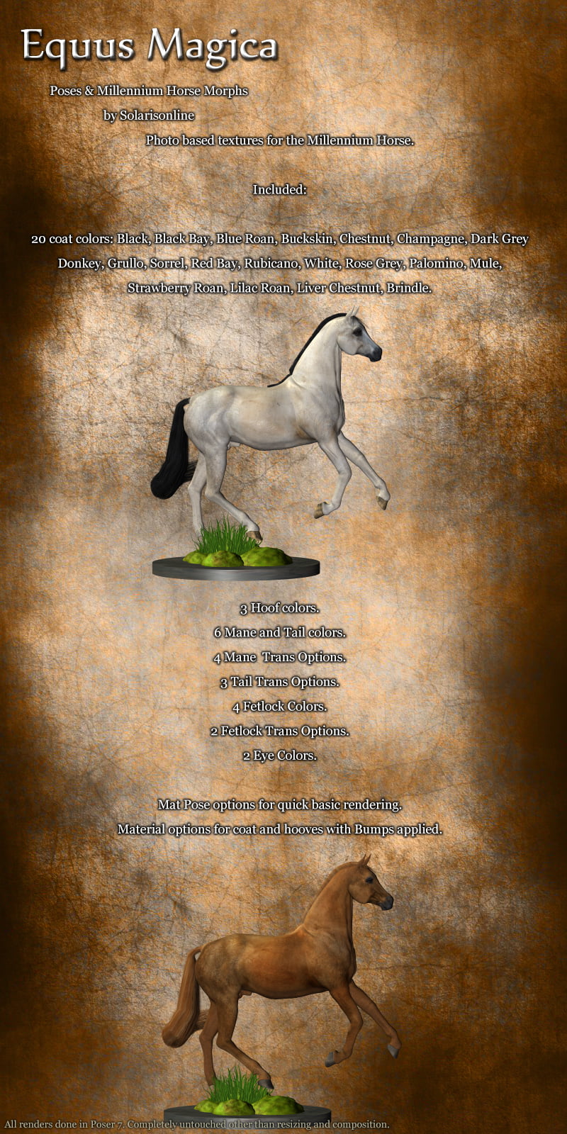 Equus Magica For the Millennium Horse