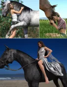 Horse and Rider Poses and Dress for Genesis 8
