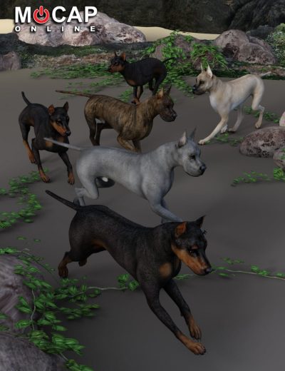 daz-dog-8-animation-cycles-base-and-great-dane-00-main-daz3d-3