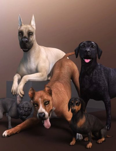 daz3d_everyday_pooch_poses_for_daz_dog_8-main-2