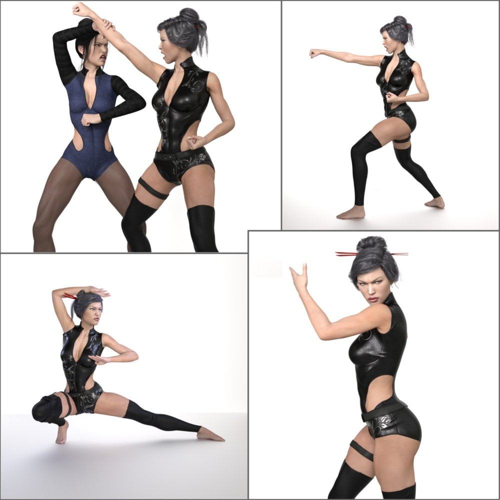 Z Fighting Series : Martial Arts - Poses and Partials for Genesis 3 and 8 Female