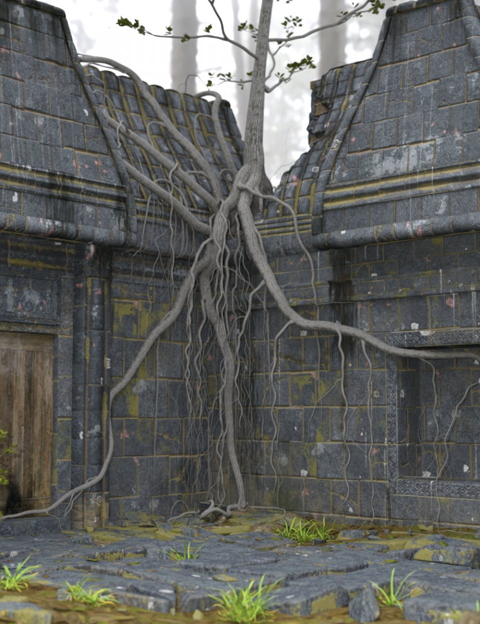 Abandoned Temple Courtyard