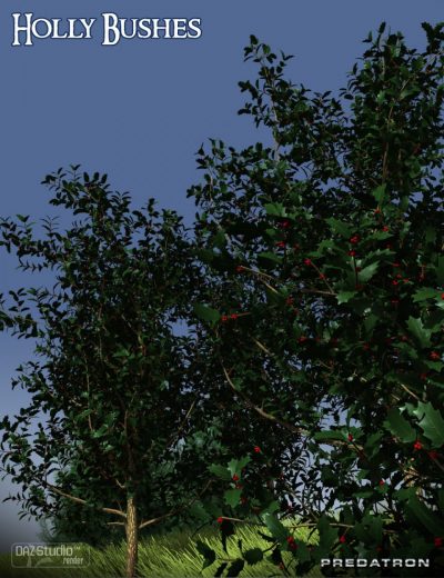 00-main-predatron-holly-bushes-daz3d-2