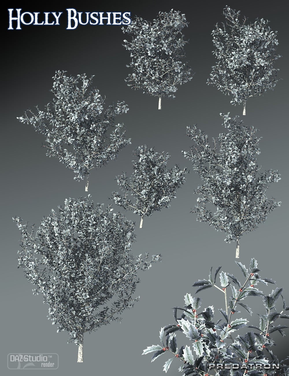 Predatron Holly Bushes
