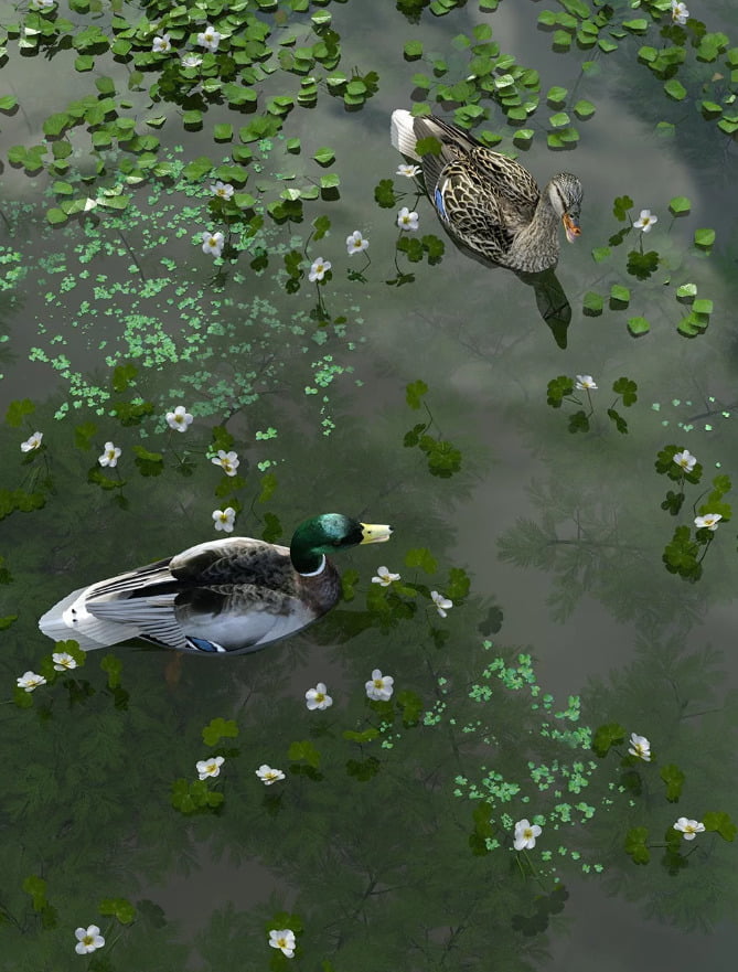 Wild Flowers - Water Plants Vol 2