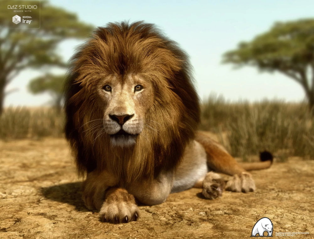 Felidae by AM - Lion