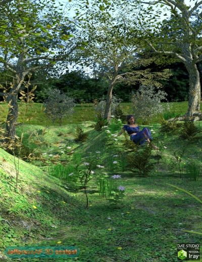 58085-The-Magical-Forest-1-2