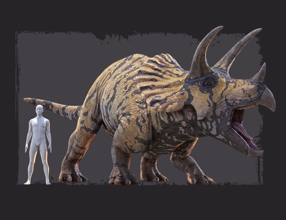 HH Triceratops